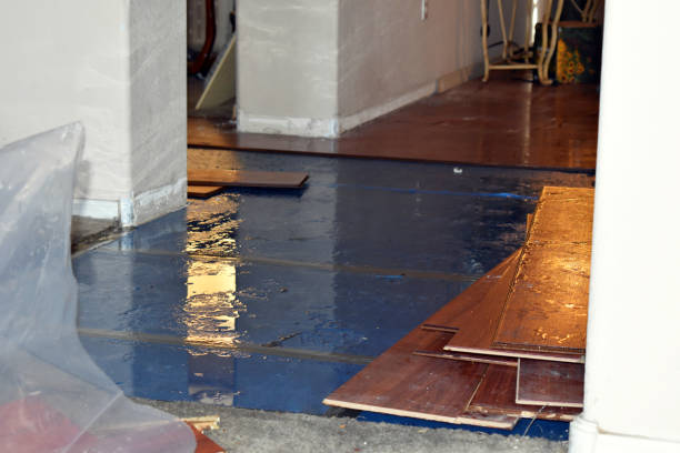 Professional Water Damage Restoration technician working in Bethel, CT